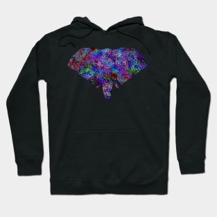 Glam Rainbow Metallic Elephant Hoodie